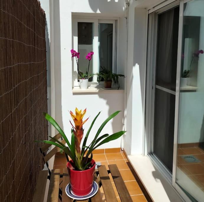 Ferienwohnung Estudio 52 Malaga Centrico Parking Gratuito Exterior foto